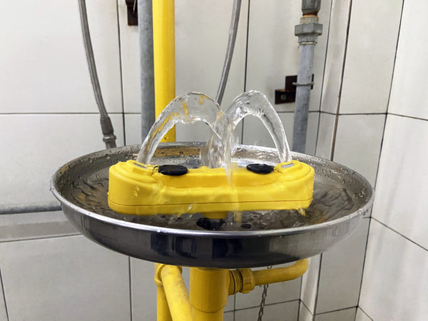 Stainless Steel Floor Mounted Combo Unit – Drench Shower & Eyewash