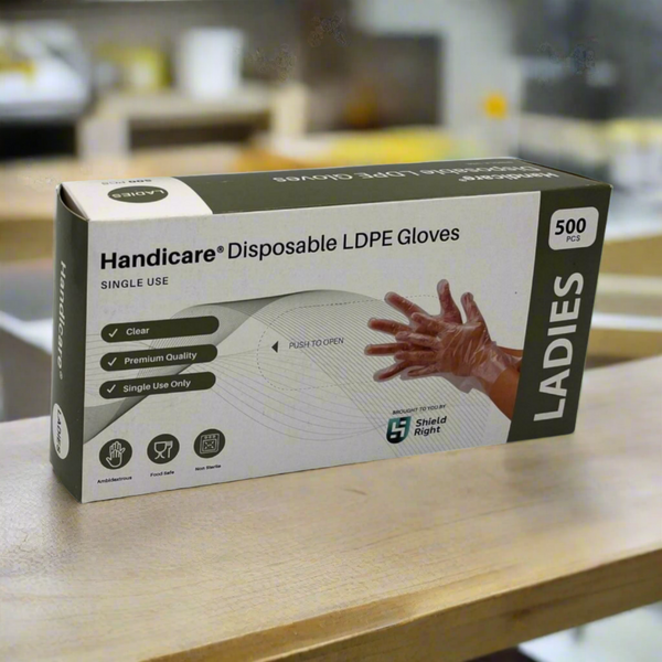 Handicare LDPE Disposable Gloves