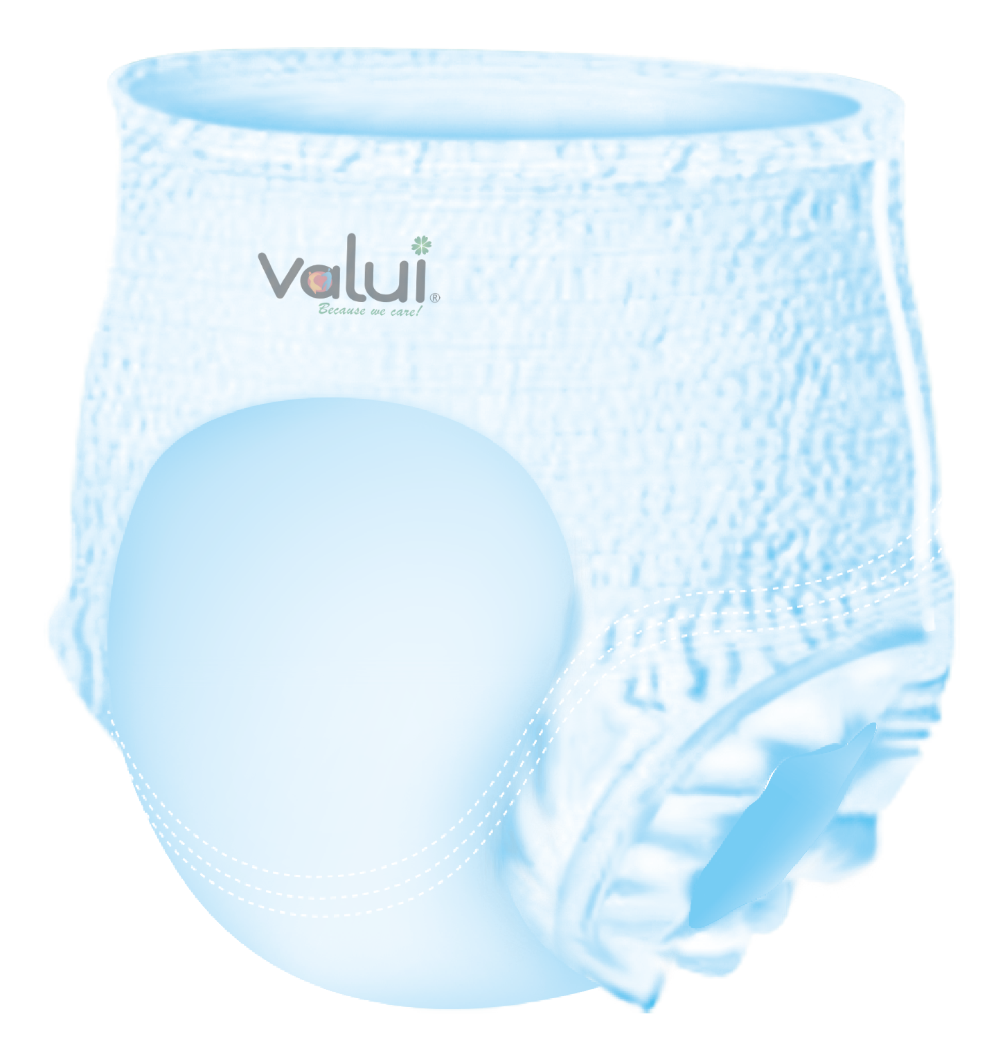 Valui Plus Pull Up Pants Day (Carton)